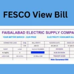 FESCO View Bill