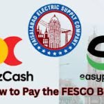 How to Pay the FESCO Bill?