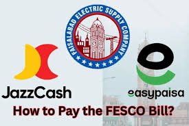 How to Pay the FESCO Bill?