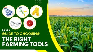 Farmers Insurance The Complete, Human Guide 5 images 2